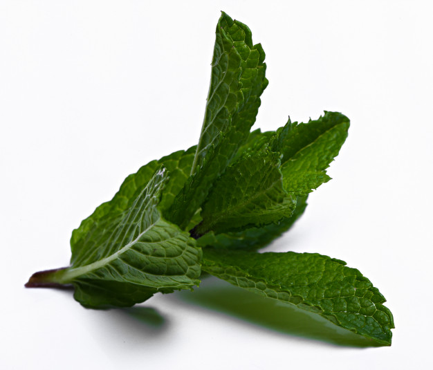 Peppermint is used to treat stomach cramp